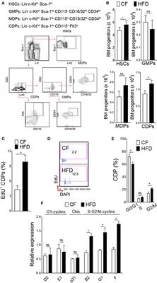 Dendritic Cell-Restricted Progenitors Contribute to Obesity-Associated Airway Inflammation via Adam17-p38 MAPK-Dependent Pathway